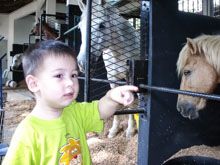 Ryan June 2005
